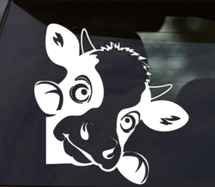 Car Window Decals
